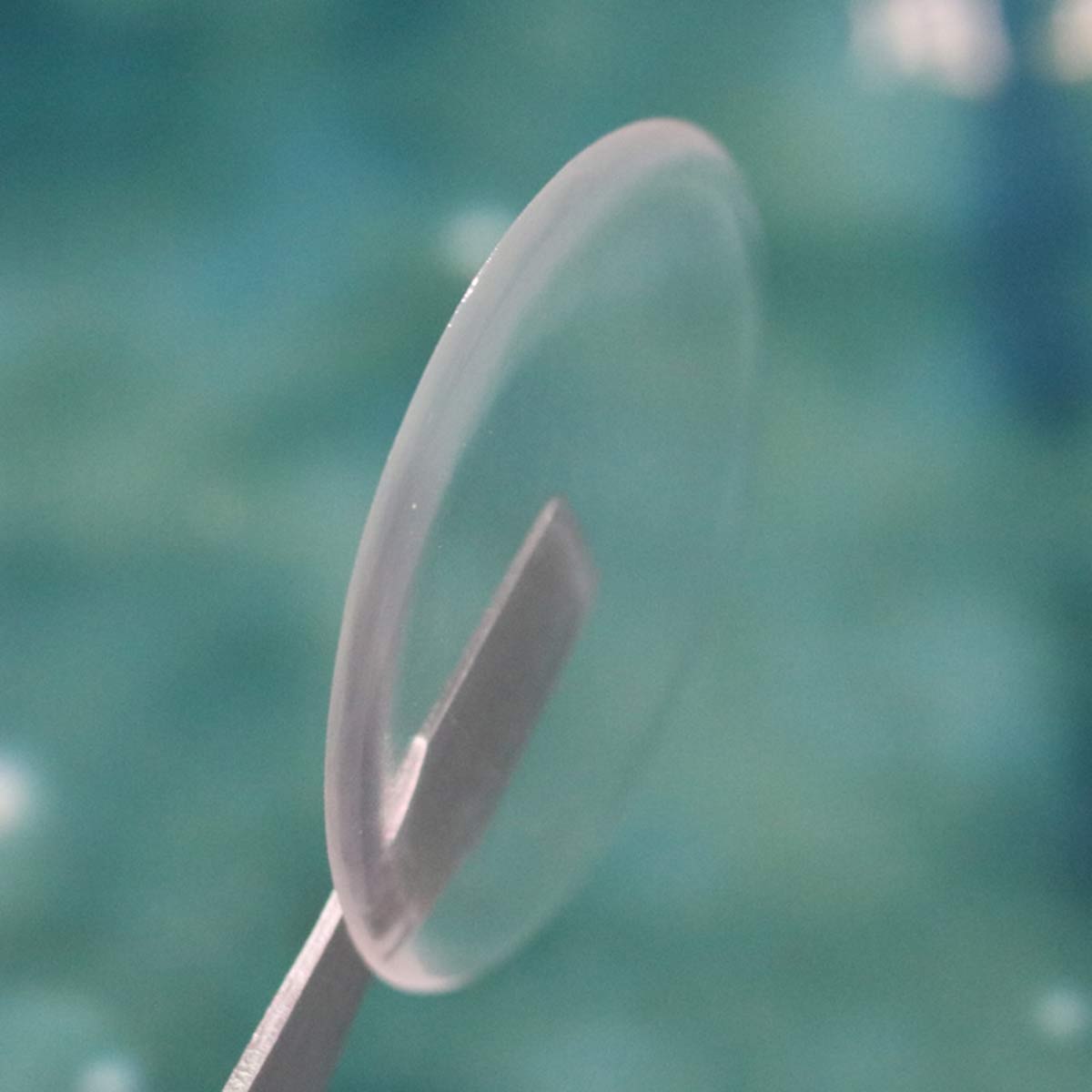 100 PZ Nuovo Trasparente Resin - Plastic Dome Clear recensione e prezzo