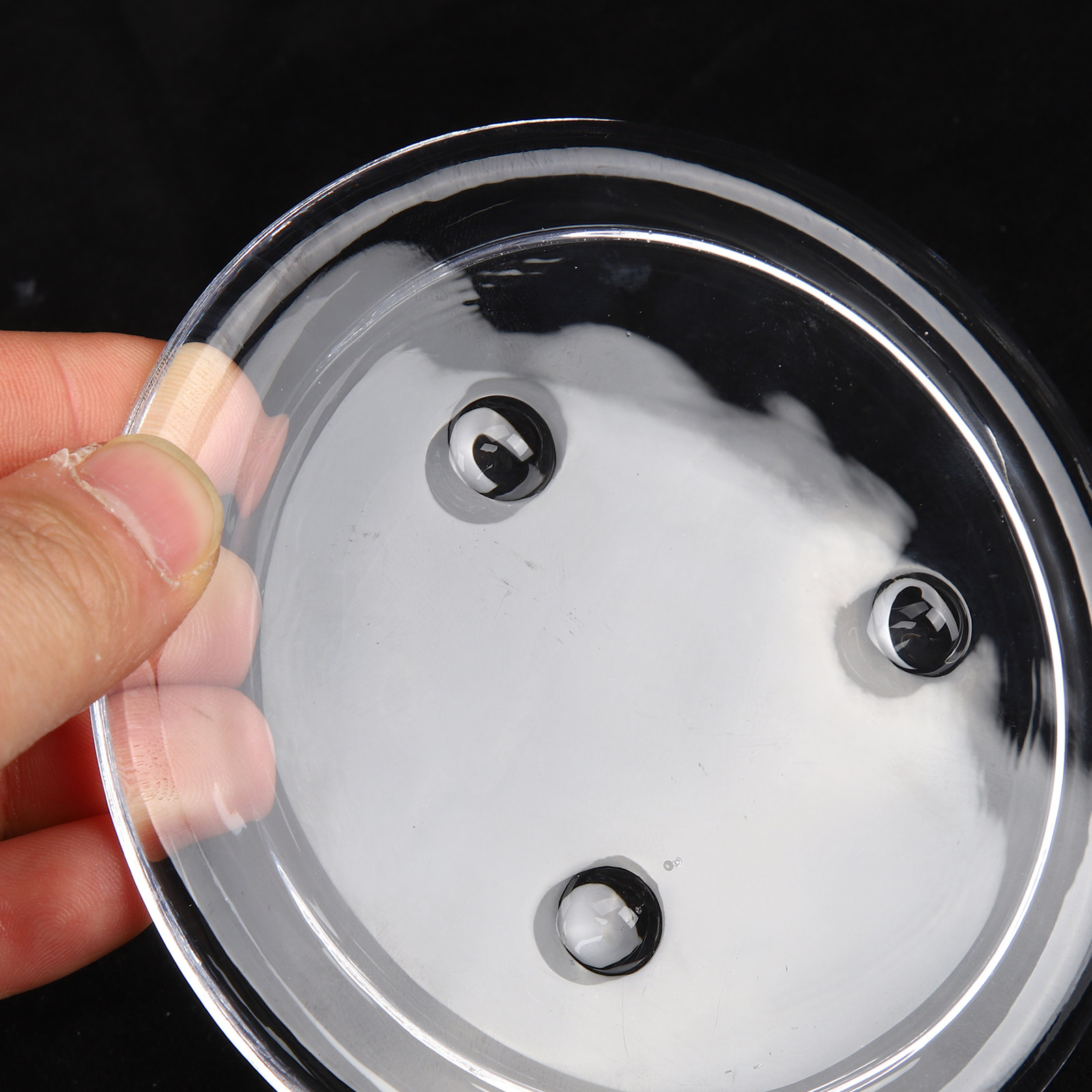 Cupola Trasparente per Fiori C - Plastic Dome Clear recensione e prezzo