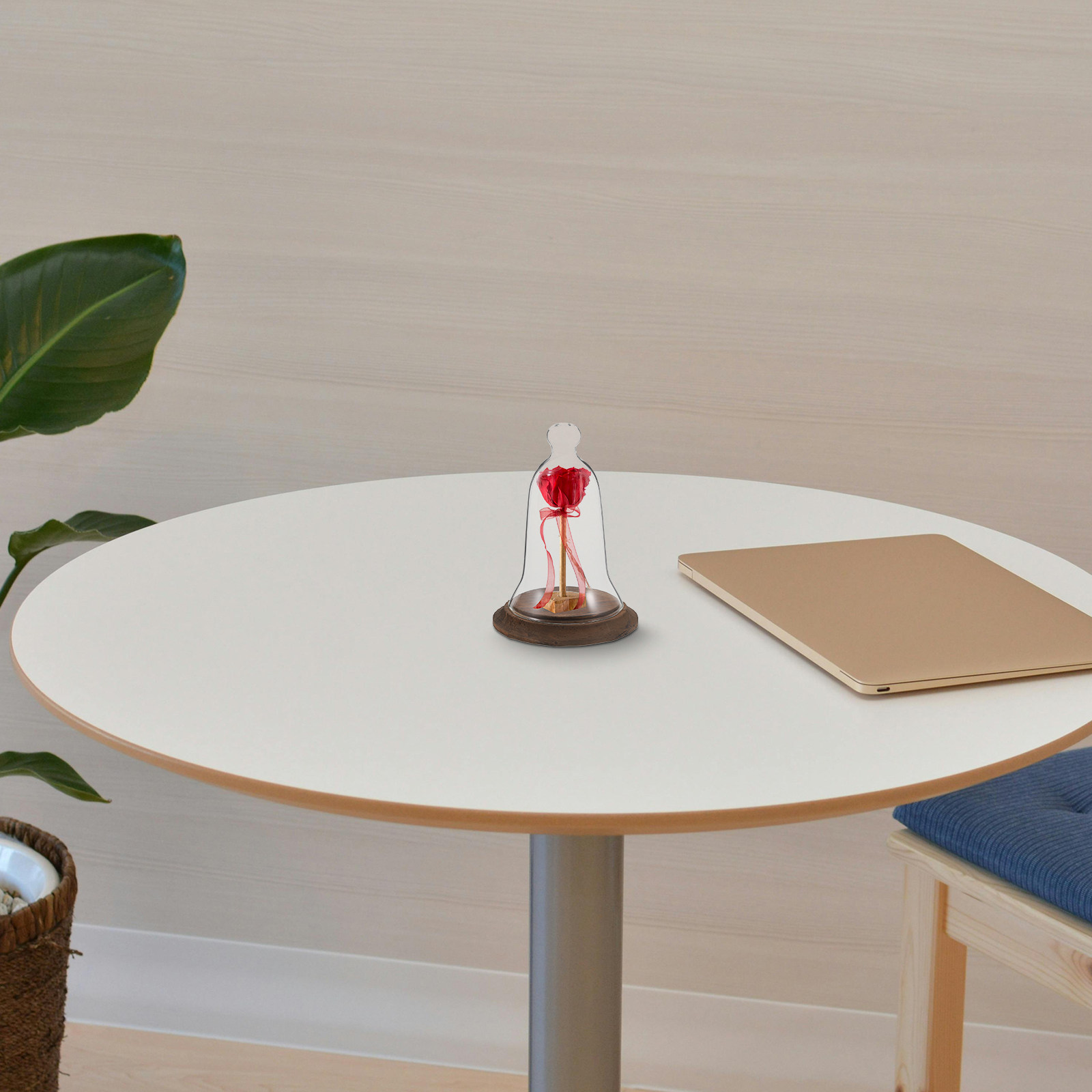 Campana di Vetro Trasparente i - Plastic Dome Clear recensione e prezzo