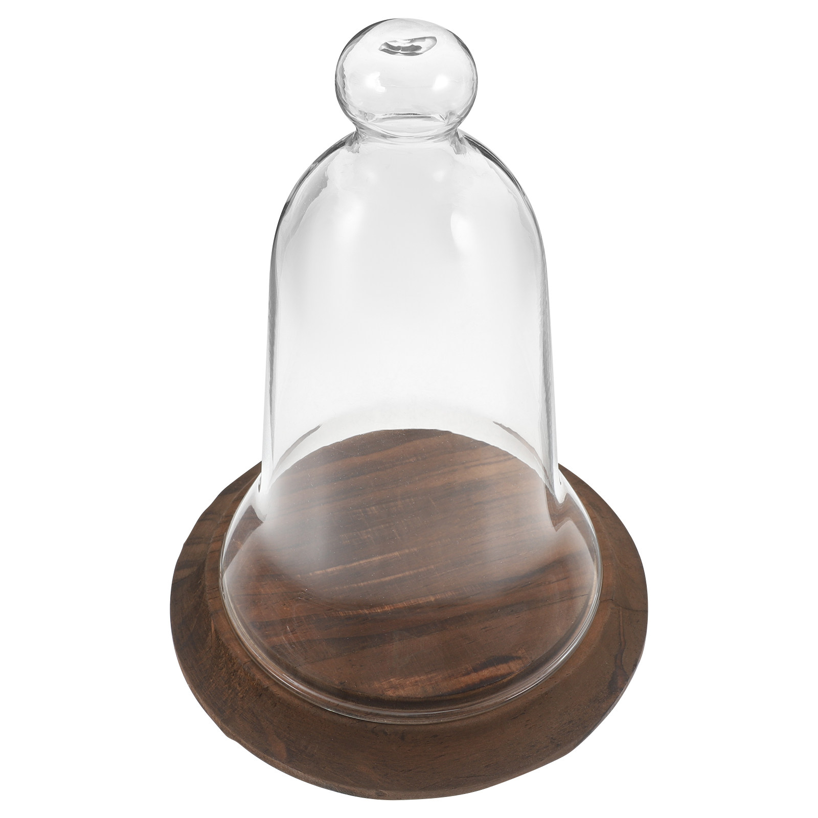 Campana di Vetro Trasparente i - Plastic Dome Clear recensione e prezzo