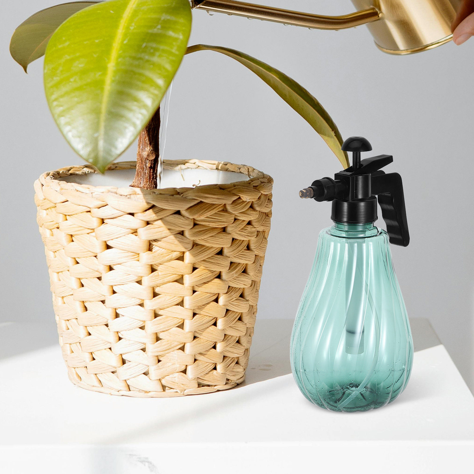Spruzzatore da Giardino Portat - Misting Bottle Fine recensione e prezzo